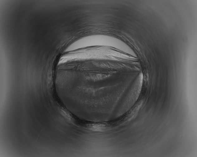 X0000086800462200705111839