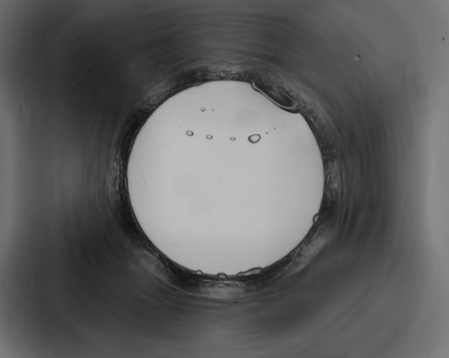 X0000086800463200705111839