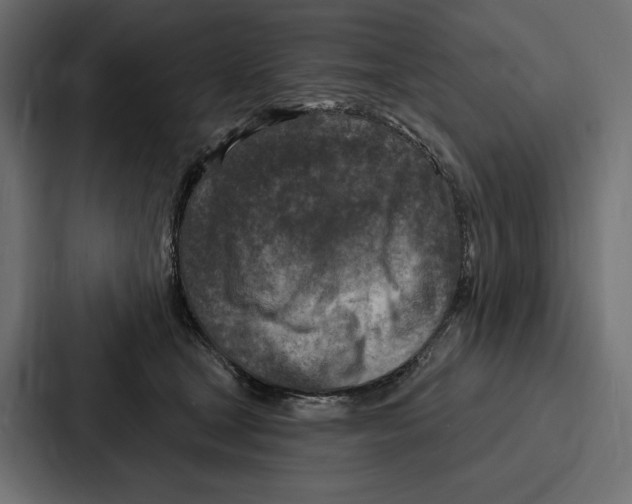 X0000086800465200705111839