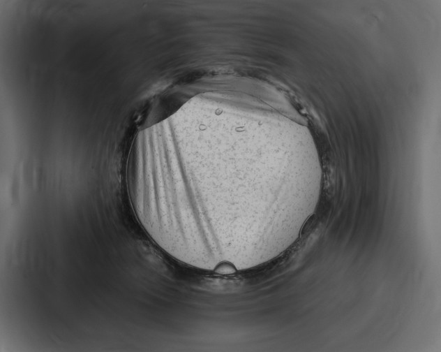 X0000086800466200705111839