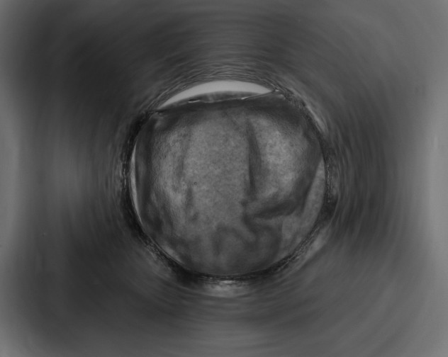 X0000086800467200705111839