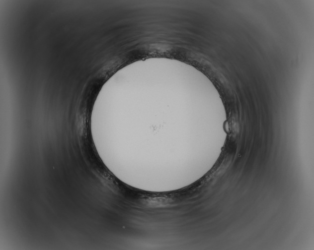 X0000086800468200705111839