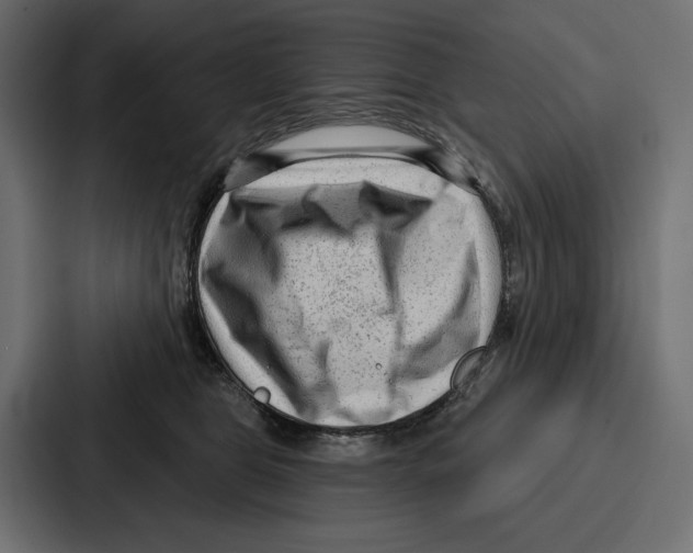 X0000086800469200705111839