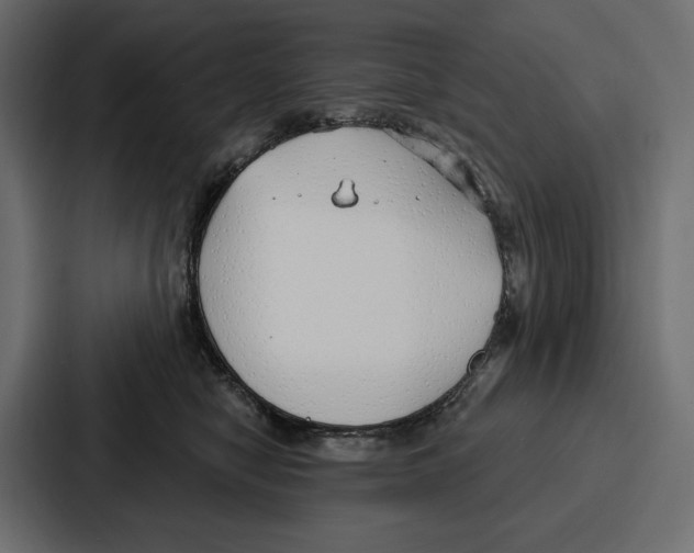 X0000086800470200705111839