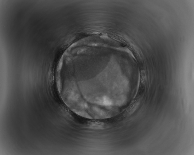X0000086800471200705111839