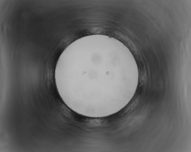 X0000086800473200705111839