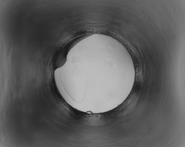 X0000086800474200705111839