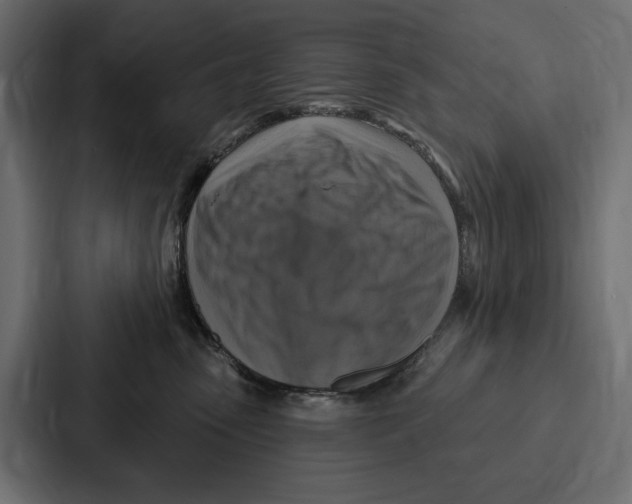 X0000086800475200705111839