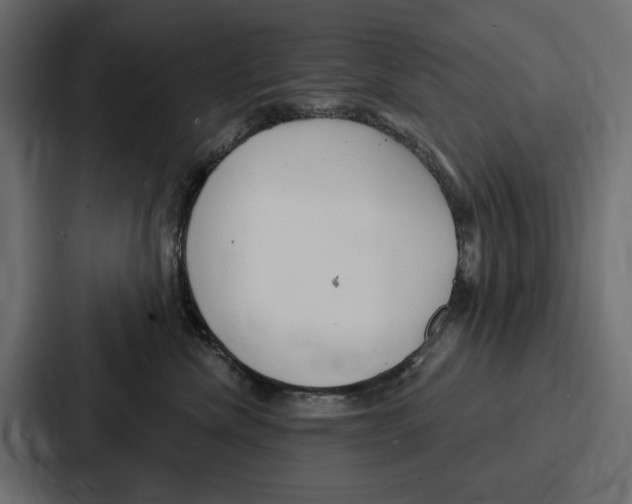 X0000086800476200705111839