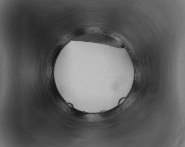 X0000086800477200705111839