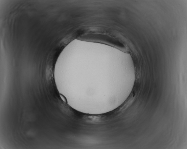X0000086800478200705111839