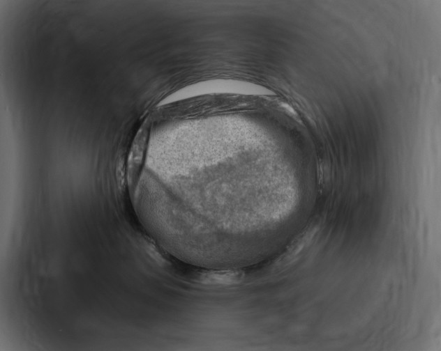 X0000086800479200705111839