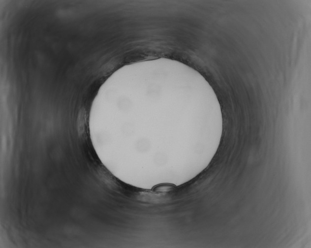 X0000086800480200705111839