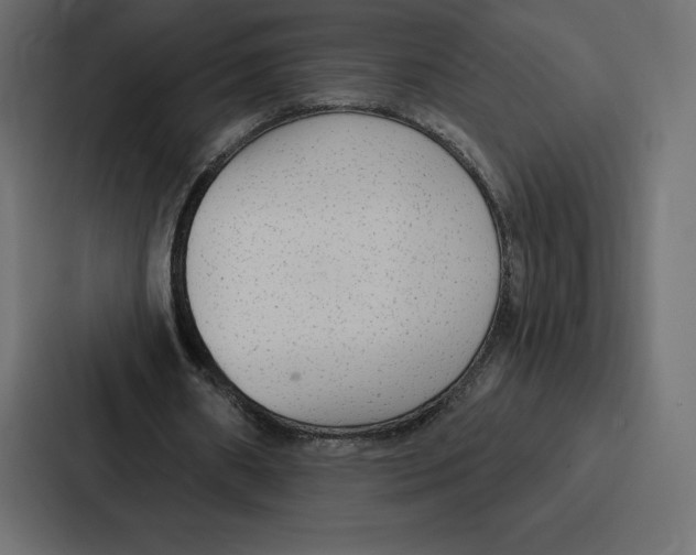 X0000086800482200705111838