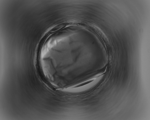 X0000086800484200705111838
