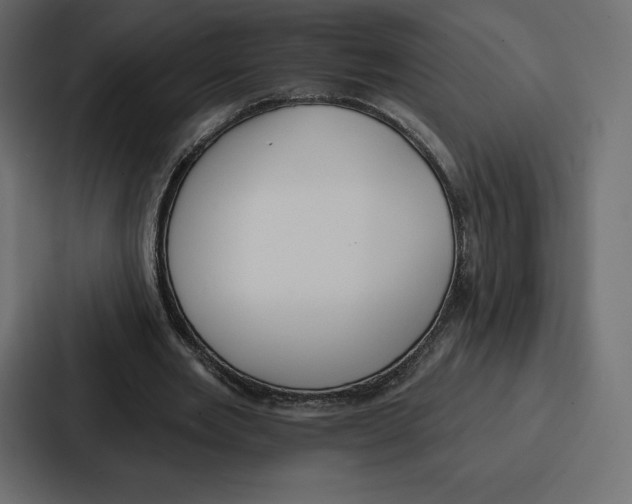 X0000086800485200705111838