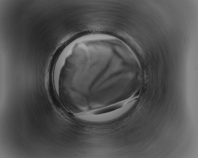X0000086800488200705111838