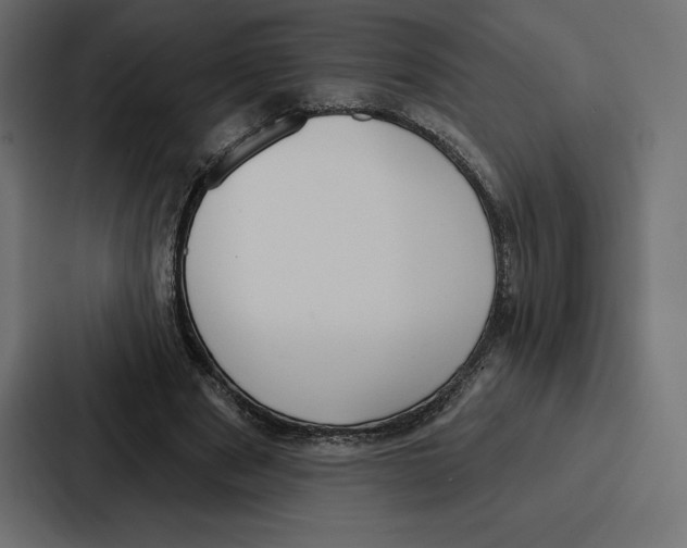 X0000086800489200705111838