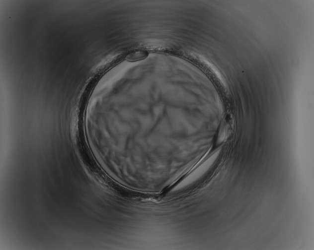 X0000086800492200705111838