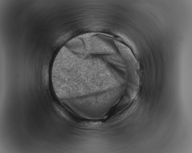 X0000086800493200705111838