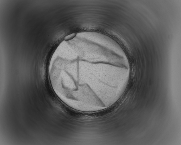 X0000086800494200705111838
