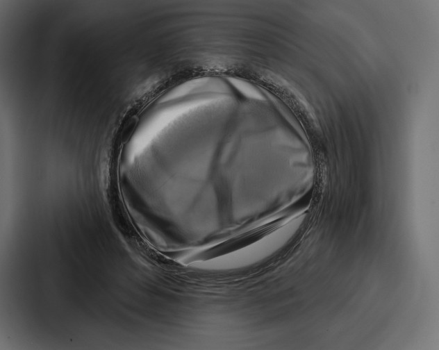X0000086800496200705111838