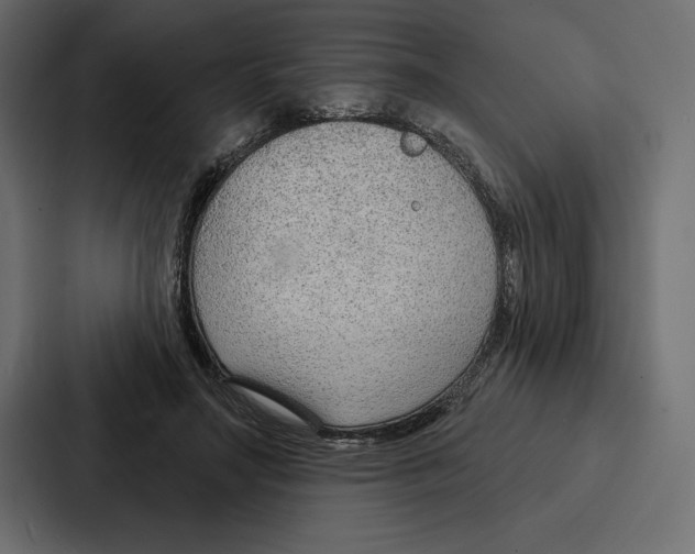 X0000086800499200705111838