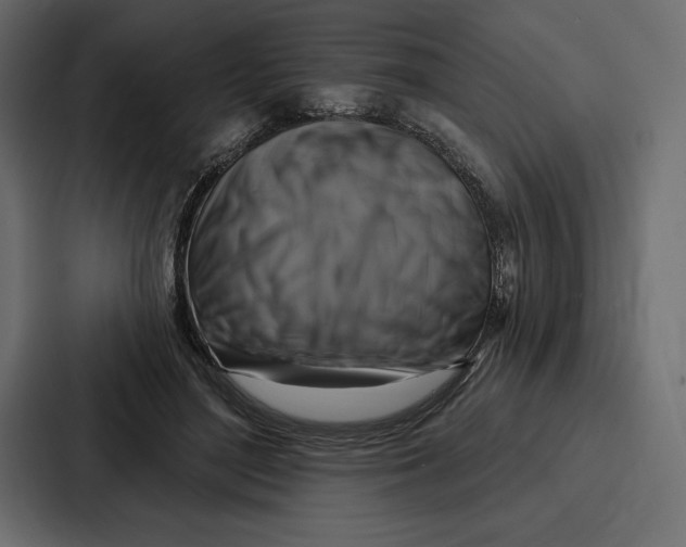 X0000086800500200705111838