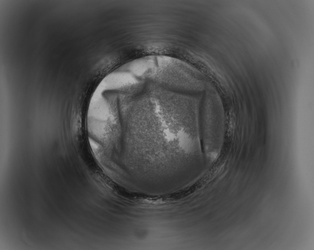 X0000086800502200705111838