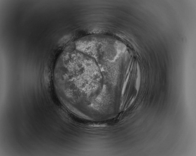 X0000086800503200705111838
