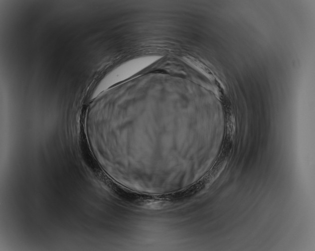 X0000086800504200705111838