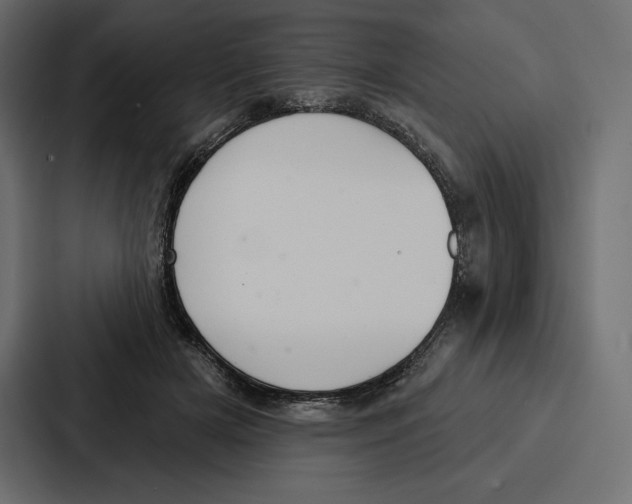 X0000086800505200705111838
