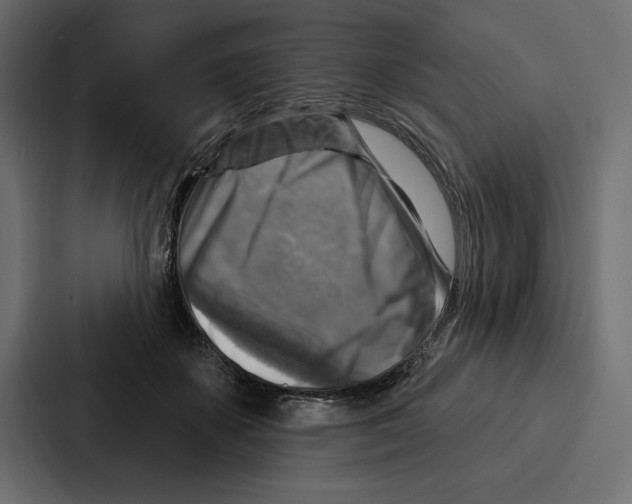 X0000086800507200705111838