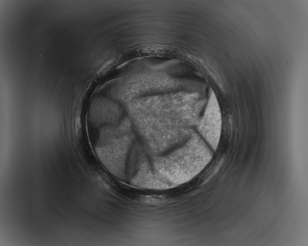 X0000086800508200705111838