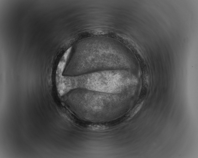 X0000086800512200705111838