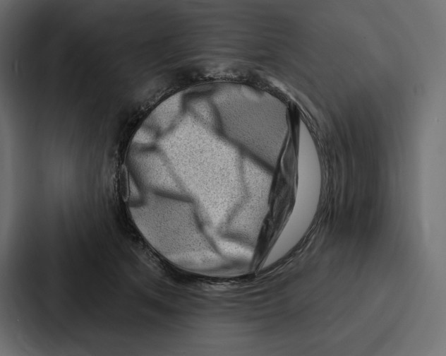 X0000086800513200705111838