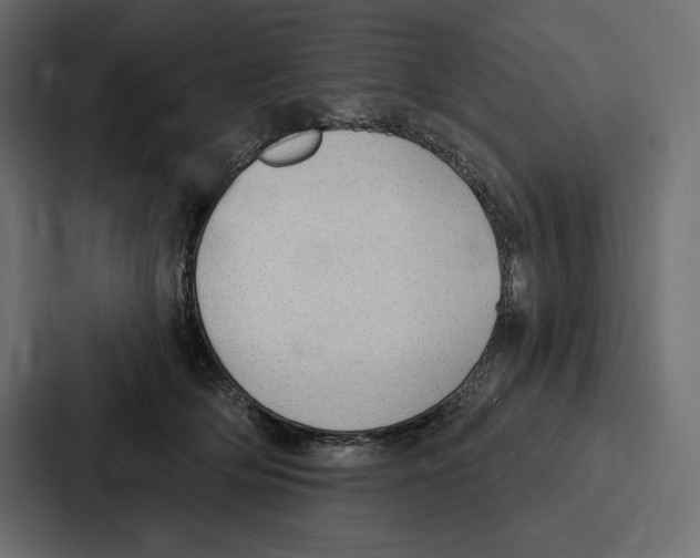 X0000086800514200705111838