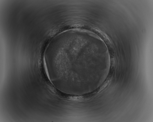 X0000086800517200705111838