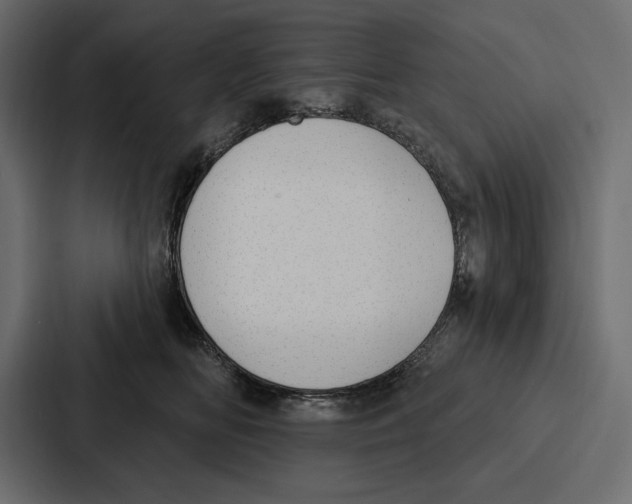 X0000086800518200705111838