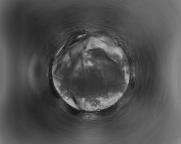 X0000086800519200705111838