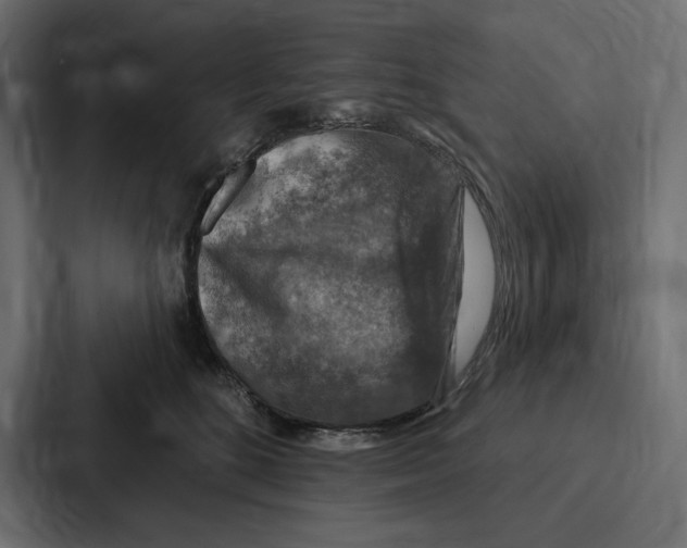 X0000086800520200705111838