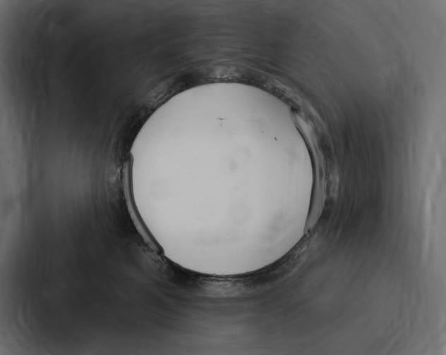 X0000086800521200705111838