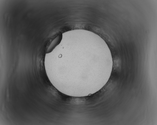 X0000086800522200705111838