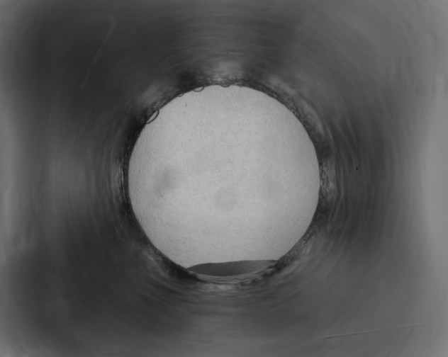 X0000086800523200705111838