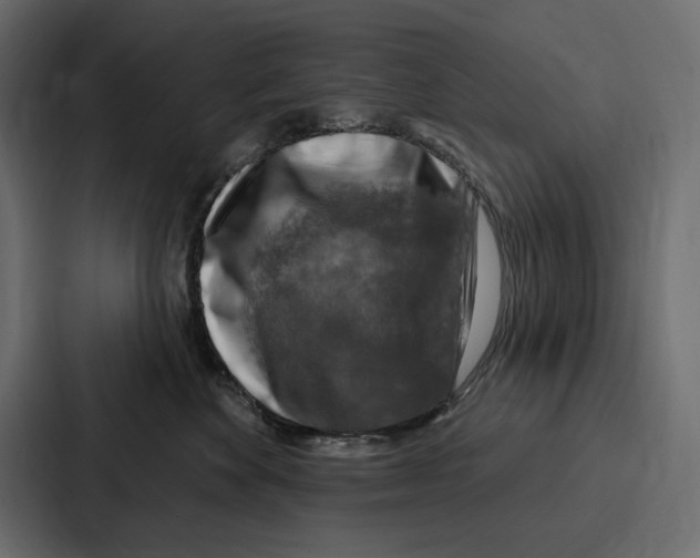 X0000086800524200705111838