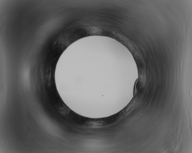 X0000086800525200705111838