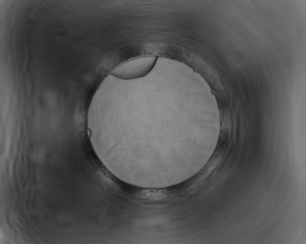 X0000086800526200705111838