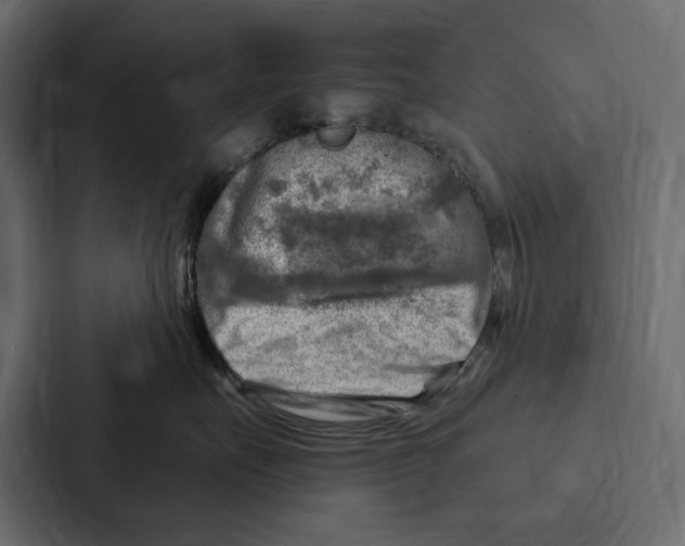 X0000086800527200705111838