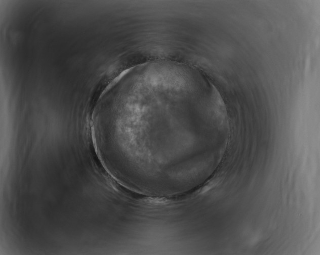 X0000086800528200705111838