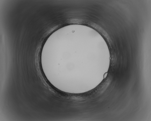 X0000086800529200705111837